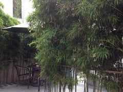 粗茶淡饭•隐庐私厨-粗茶淡饭·隐庐私厨(东亭店)