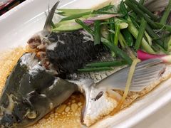 豉油皇蒸山坑鲩鱼-海晖酒楼·顺德鱼生(荣华店)
