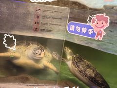 -萌宠奇缘(荣鼎店)