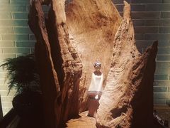 -足本纪·足道 SPA 简餐 小吃(文三西路店)
