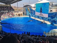 -上海海昌海洋公园