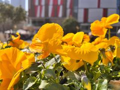 -西安创业咖啡街区