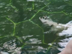 -海兰云天度假区温泉