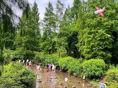 -重庆彩云湖湿地公园