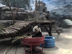 -鄂尔多斯野生动物园