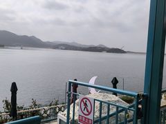-望湖烤鱼