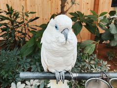 -南宫五洲植物乐园