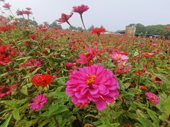 -嘉北郊野公园