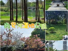 -尚贤河湿地