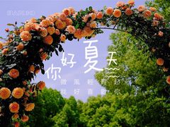 -大关公园