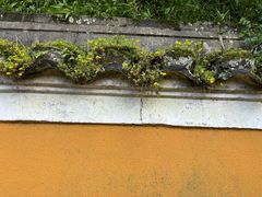 -普陀山慧济禅寺