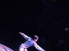 -上海马戏城