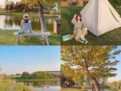 -安德鲁户外烧烤帐篷营地(马泉营店)