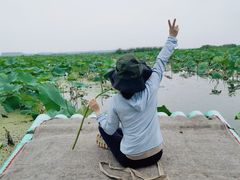-白洋淀景区