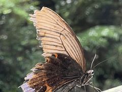 -马峦山郊野公园