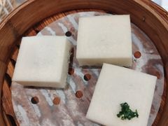 -新雅粤菜馆(南京东路店)