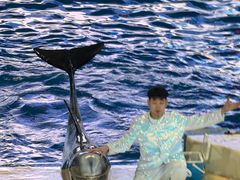 -泉城欧乐堡海洋极地世界