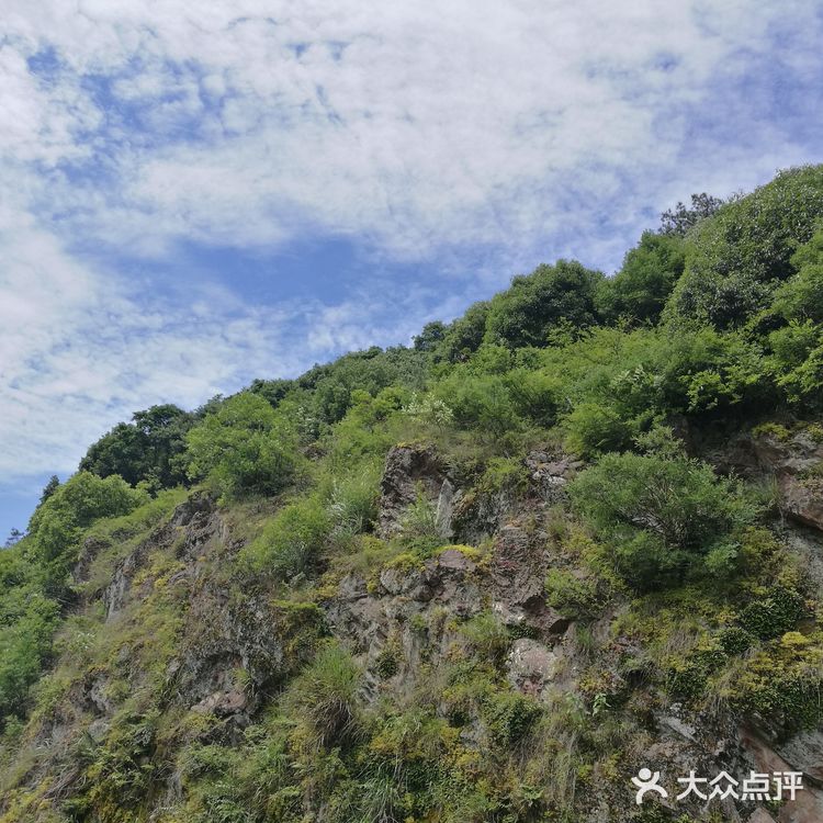 富阳华庭云顶小区， 环境优美， 四周青山绿水