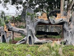 -海南热带野生动植物园