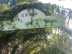 -青青世界