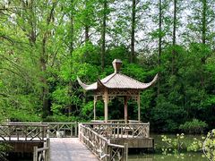 -上海滨江森林公园
