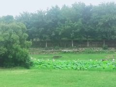 -滆湖低碳生态公园