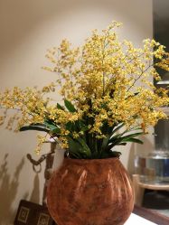 -阿南达·瑜伽普拉提·阿育吠陀疗愈中心