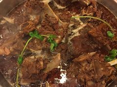 -芦月轩羊蝎子(北蜂窝店)