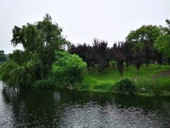 -同济大学图书馆(嘉定校区)