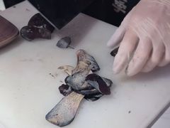 -芸山季·云南山珍菌火锅(人民广场来福士店)