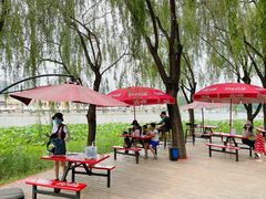 -WhaleSports户外水上运动俱乐部(朝阳公园店)