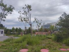 -回龙观体育文化公园