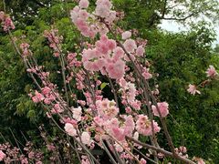 -观澜湖生态运动公社