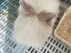 -小意思咖啡店(草桥店)