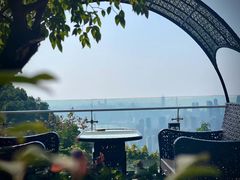 -南山植物园