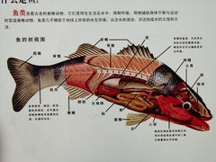 -浙江自然博物院(杭州馆)