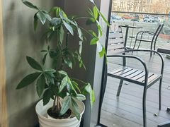 -COSTA COFFEE(龙德广场店)