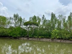 -东寨港红树林旅游区