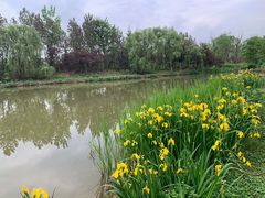 -白鹭湾湿地公园