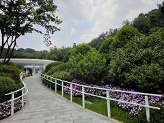 -云溪植物园