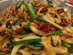 -不炭白烧烤(成都首店)