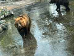 -北京野生动物园