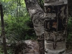 -双龙峡