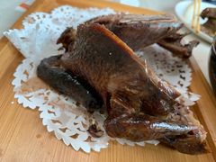 -食家鸽园