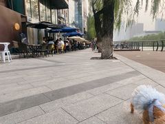 -Fiume福弥意大利餐厅