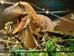 -国家自然博物馆