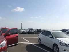 -青岛极地海洋世界-停车场