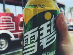 -柳湖沙月沙滩公园