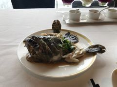 -金轩中餐厅 Jin Xuan(浦东丽思卡尔顿酒店)