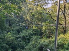 -桂林古东瀑布景区